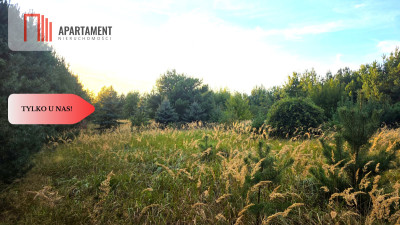 Działka blisko jeziora las 3300m2 - Piotrków Kujawski  -
Kujawsko-Pomorskie Zdjęcie nr 13