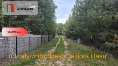 Działka blisko jeziora las 3300m2 - Piotrków Kujawski  -
Kujawsko-Pomorskie Zdjęcie nr 7