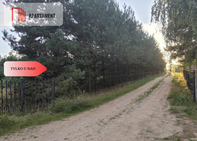 Działka blisko jeziora las 3300m2 - Piotrków Kujawski  -
Kujawsko-Pomorskie Zdjęcie nr 8