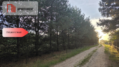 Działka blisko jeziora las 3300m2 - Piotrków Kujawski  -
Kujawsko-Pomorskie Zdjęcie nr 9