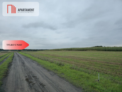 Działka budowlana z WZ blisko jeziora Warlubie - Za Torem  - Kujawsko-Pomorskie