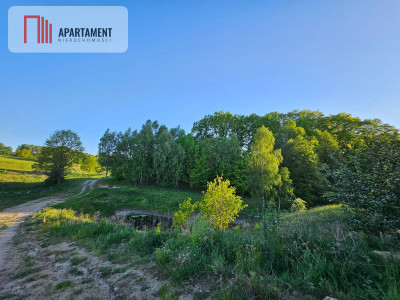 Działki wśród natury las jezioro plaża staw Miastk - Przęsin  -
Pomorskie Zdjęcie nr 13