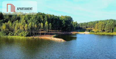 Działki wśród natury las jezioro plaża staw Miastk - Przęsin  -
Pomorskie Zdjęcie nr 9