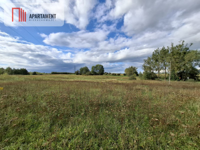 1Działka 3000 m  Warmia 15 min od Olsztyna - Mątki  -
Warmińsko-Mazurskie Zdjęcie nr 3