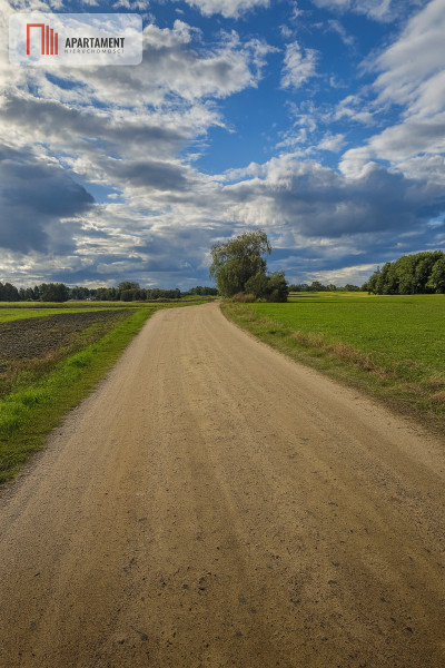 Wyjątkowe działki Kamień Mały k Iławy - Kamień Mały  -
Warmińsko-Mazurskie Zdjęcie nr 4
