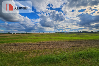 Wyjątkowe działki Kamień Mały k Iławy - Kamień Mały  -
Warmińsko-Mazurskie Zdjęcie nr 5