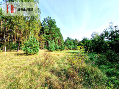 Działka budowlana ze ścianą lasu  - Czersk  -
Pomorskie Zdjęcie nr 6