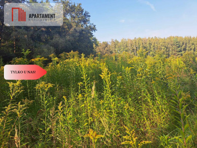 1222 m2 z widokiem na las - Miękinia  -
Dolnośląskie Zdjęcie nr 13