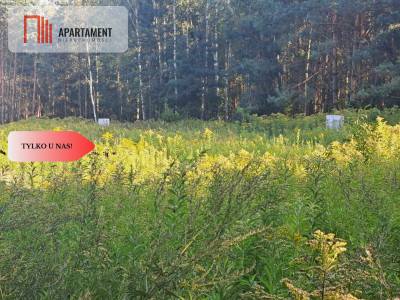 1222 m2 z widokiem na las - Miękinia  - Dolnośląskie