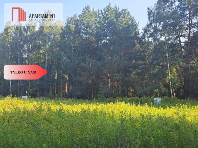 1222 m2 z widokiem na las - Miękinia  -
Dolnośląskie Zdjęcie nr 3