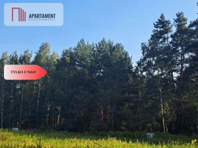 1222 m2 z widokiem na las - Miękinia  -
Dolnośląskie Zdjęcie nr 5