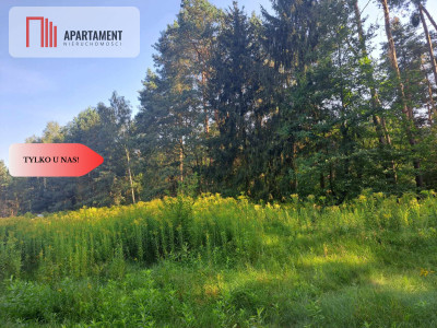 1222 m2 z widokiem na las - Miękinia  -
Dolnośląskie Zdjęcie nr 7