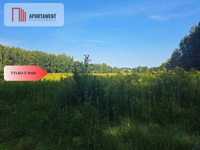 1222 m2 z widokiem na las - Miękinia  -
Dolnośląskie Zdjęcie nr 8