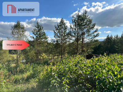 Tylko u Nas Wyjątkowa działka na sprzedaż - Górne Maliki  -
Pomorskie Zdjęcie nr 5