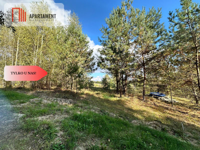 Tylko u Nas Wyjątkowa działka na sprzedaż - Górne Maliki  -
Pomorskie Zdjęcie nr 6