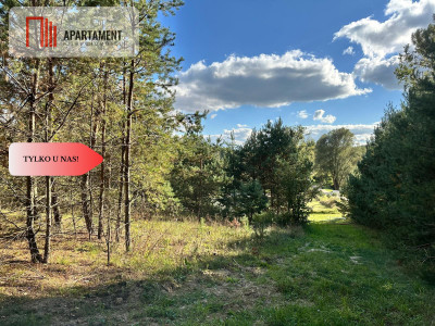 Tylko u Nas Wyjątkowa działka na sprzedaż - Górne Maliki  -
Pomorskie Zdjęcie nr 7