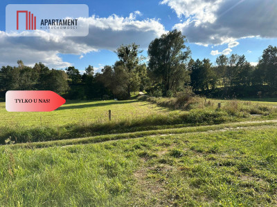 Tylko u Nas Wyjątkowa działka na sprzedaż - Górne Maliki  -
Pomorskie Zdjęcie nr 9