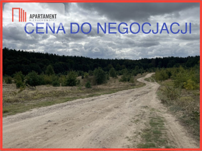 Teren las rzeki hodowla ryb żwirownia - Lubnica  - Wielkopolskie