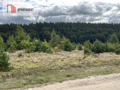 Teren las rzeki hodowla ryb żwirownia - Lubnica  -
Wielkopolskie Zdjęcie nr 2