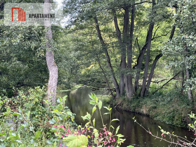 Teren las rzeki hodowla ryb żwirownia - Lubnica  -
Wielkopolskie Zdjęcie nr 3