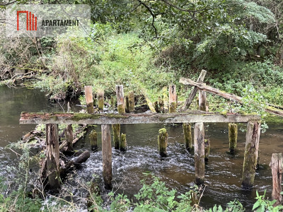 Teren las rzeki hodowla ryb żwirownia - Lubnica  -
Wielkopolskie Zdjęcie nr 6