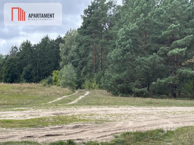 Teren las rzeki hodowla ryb żwirownia - Lubnica  -
Wielkopolskie Zdjęcie nr 9