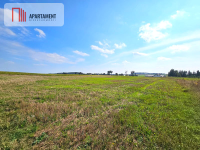 Działka budowlana 981m2 Smogorzewo - Smogorzewo  -
Kujawsko-Pomorskie Zdjęcie nr 4