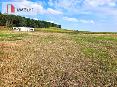 Działka budowlana 981m2 Smogorzewo - Smogorzewo  -
Kujawsko-Pomorskie Zdjęcie nr 5