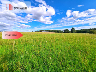 Tylko U Nas Działki zagrodowe blisko jeziora - Stężyca  -
Pomorskie Zdjęcie nr 6