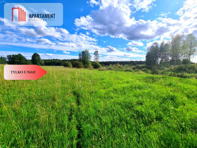 Tylko U Nas Działki zagrodowe blisko jeziora - Stężyca  -
Pomorskie Zdjęcie nr 9