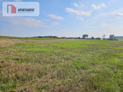 Działka budowlana 885 m  Smogorzewo - Smogorzewo  -
Kujawsko-Pomorskie Zdjęcie nr 6