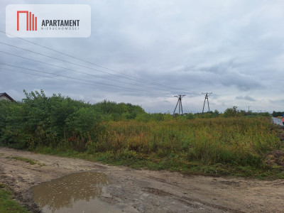 Duża działka pod 2 domy - Miłoszyce  -
Dolnośląskie Zdjęcie nr 4