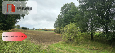 Działka w zielonej okolicy  3000 m - Goszyn  - Pomorskie