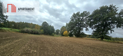 Działka w zielonej okolicy  3000 m - Goszyn  -
Pomorskie Zdjęcie nr 5