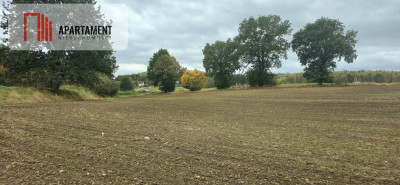 Działka w zielonej okolicy  3000 m - Goszyn  -
Pomorskie Zdjęcie nr 6