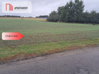 Duża działka w Jadownikach Rycerskich - Jadowniki Rycerskie  -
Kujawsko-Pomorskie Zdjęcie nr 2