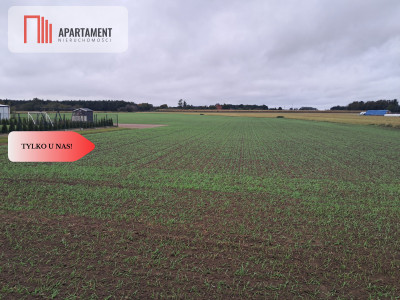 Duża działka w Jadownikach Rycerskich - Jadowniki Rycerskie  -
Kujawsko-Pomorskie Zdjęcie nr 5