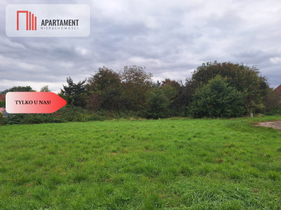 Działka budowlanamediaprojekt domu - Pysząca  - Dolnośląskie