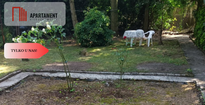 Działka z domkiem Borówno KW jezioro  las - Borówno  -
Kujawsko-Pomorskie Zdjęcie nr 14