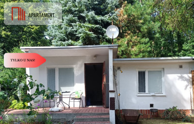 Działka z domkiem Borówno KW jezioro  las - Borówno  -
Kujawsko-Pomorskie Zdjęcie nr 3