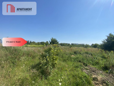 Działka usługowa w centrum Człuchowa - Człuchów  -
Pomorskie Zdjęcie nr 7