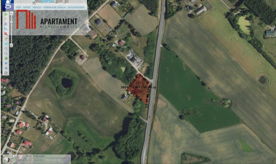 Działka 3039 m w Siwiałce las jezioro w okolicy - Siwiałka  -
Pomorskie Zdjęcie nr 3