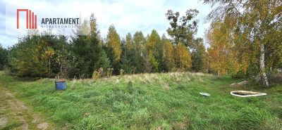 Działka 3039 m w Siwiałce las jezioro w okolicy - Siwiałka  -
Pomorskie Zdjęcie nr 4