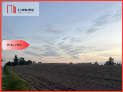 Działki z WZ - Zielonczyn - Zielonczyn  - Kujawsko-Pomorskie