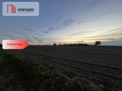 Działki z WZ - Zielonczyn - Zielonczyn  -
Kujawsko-Pomorskie Zdjęcie nr 5