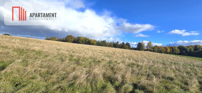 Działki budowlane w Gołębiewie Wielkim - Gołębiewo Wielkie  -
Pomorskie Zdjęcie nr 3