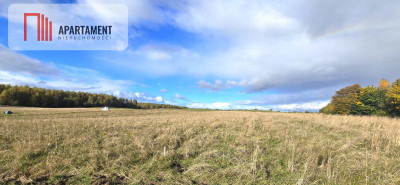 Działki budowlane w Gołębiewie Wielkim - Gołębiewo Wielkie  -
Pomorskie Zdjęcie nr 4