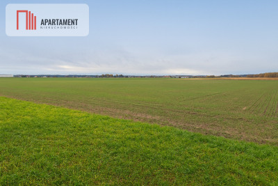 Działka rolna zabudowana    Babięty Wielkie - Babięty Wielkie  -
Warmińsko-Mazurskie Zdjęcie nr 4