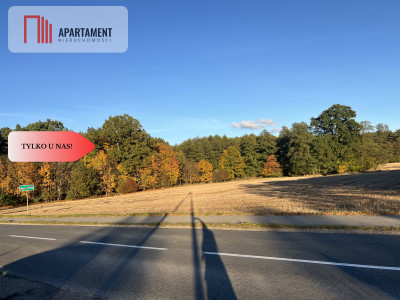 Atrakcyjna działka budowlana w Jagodowie - Jagodowo  -
Kujawsko-Pomorskie Zdjęcie nr 3