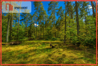 Objęta mpzp w otoczeniu lasu - Chwaszczyno  - Pomorskie